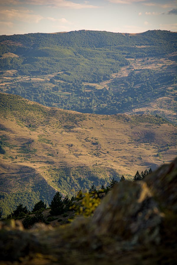 Pic2